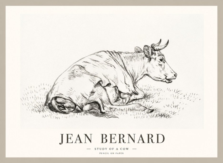 Jean Bernard Resting Cow III No2 - Affiche