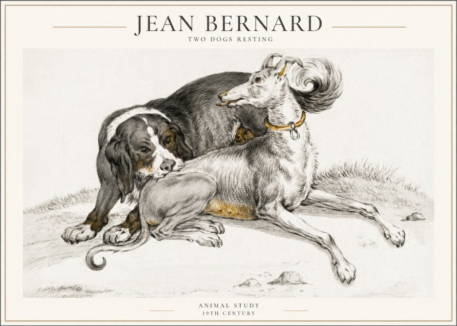 Jean Bernard Two Dogs Resting No4 - Affiche