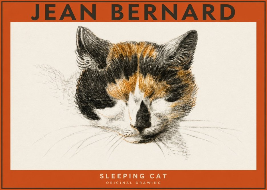 Jean Bernard Cat Study VIII No5 - Affiche