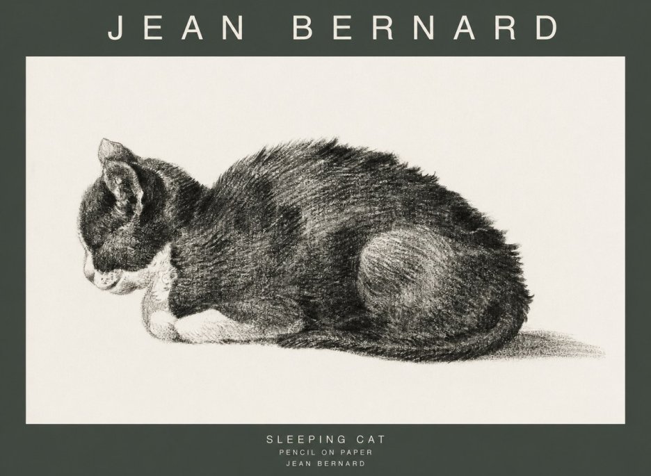 Jean Bernard Sleeping Cat VII No1 - Affiche