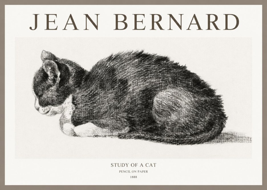 Jean Bernard Sleeping Cat VII No6 - Affiche
