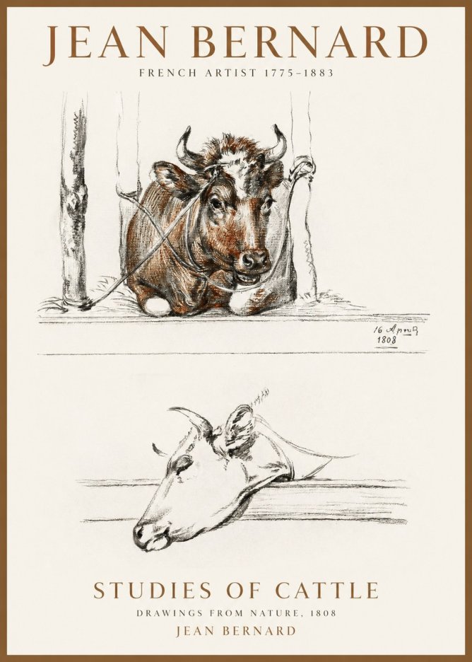 Jean Bernard Studies of Cattle III No1 - Affiche