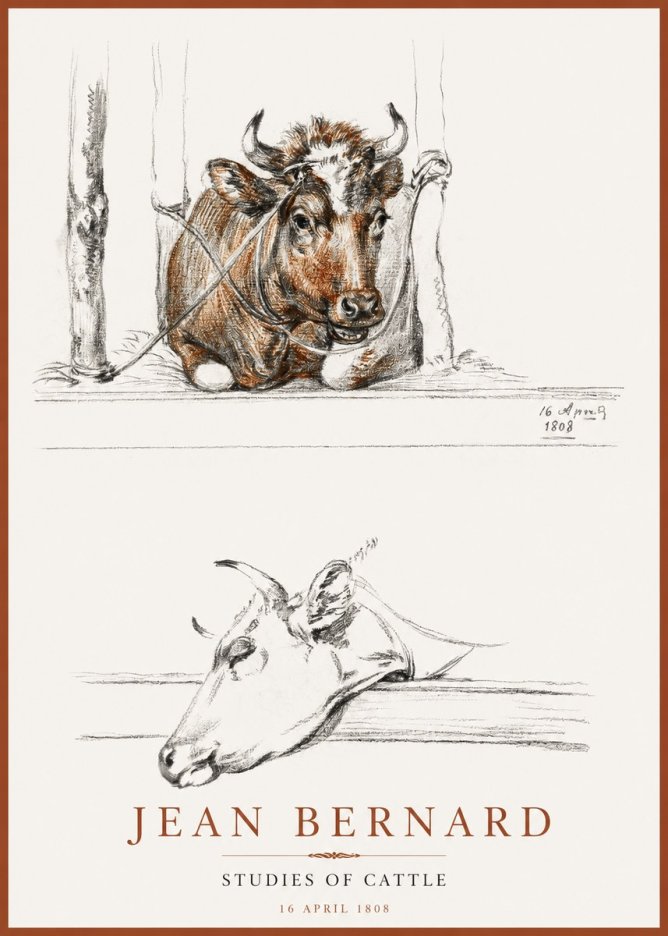Jean Bernard Studies of Cattle III No2 - Affiche