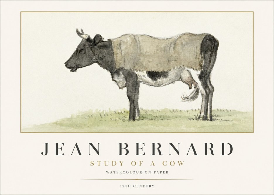 Jean Bernard Study of a Cow IX No1 - Affiche