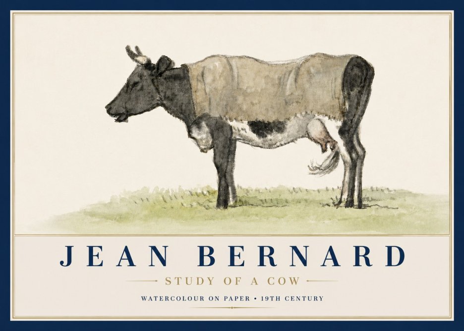Jean Bernard Study of a Cow IX No4 - Affiche