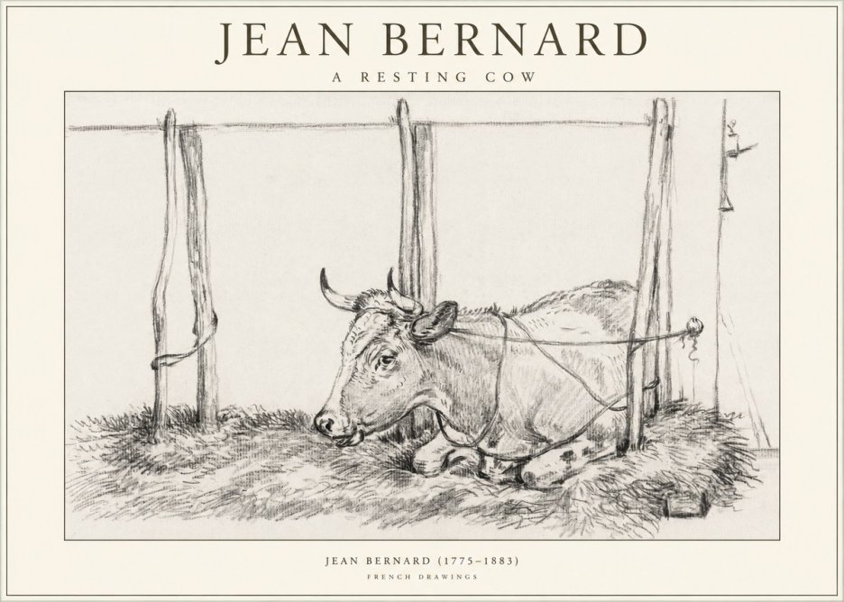 Jean Bernard A Resting Cow No1 - Affiche