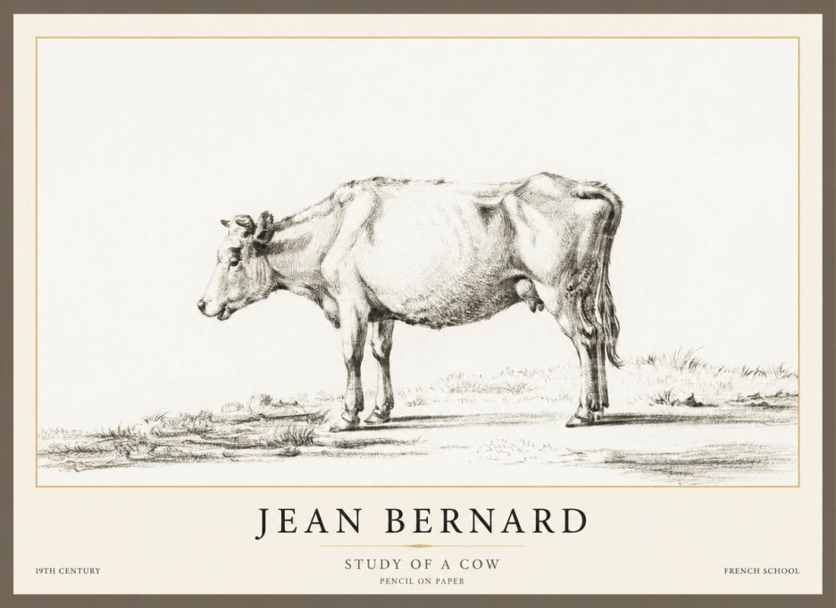 Jean Bernard Study of a Cow XI No1 - Affiche