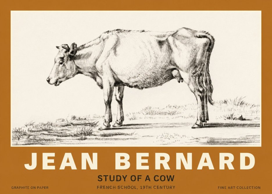 Jean Bernard Study of a Cow XI No3 - Affiche