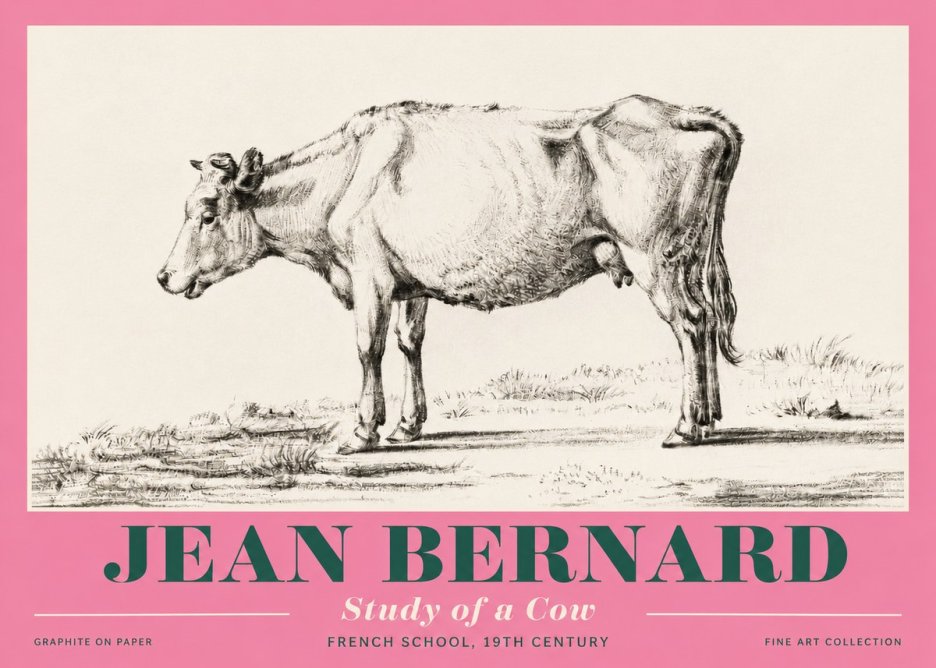 Jean Bernard Study of a Cow XI No4 - Affiche