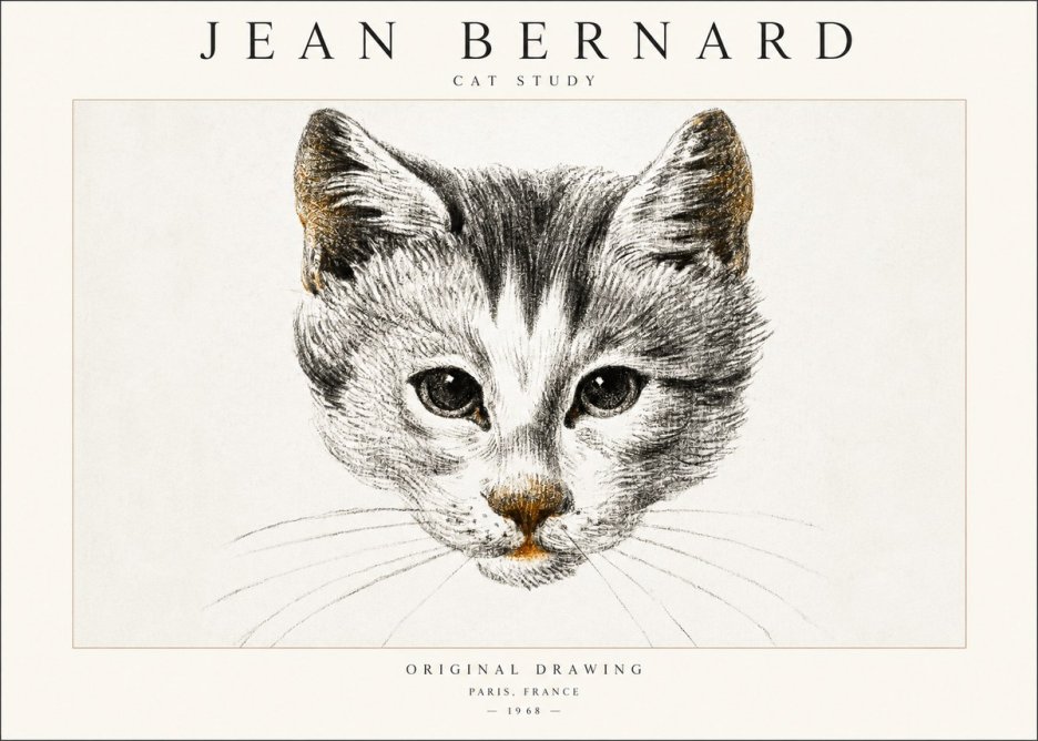 Jean Bernard Cat Study IX No6 - Affiche