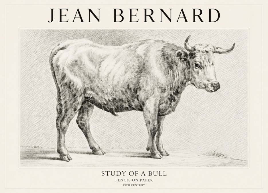 Jean Bernard Study of a Bull IV No1 - Affiche