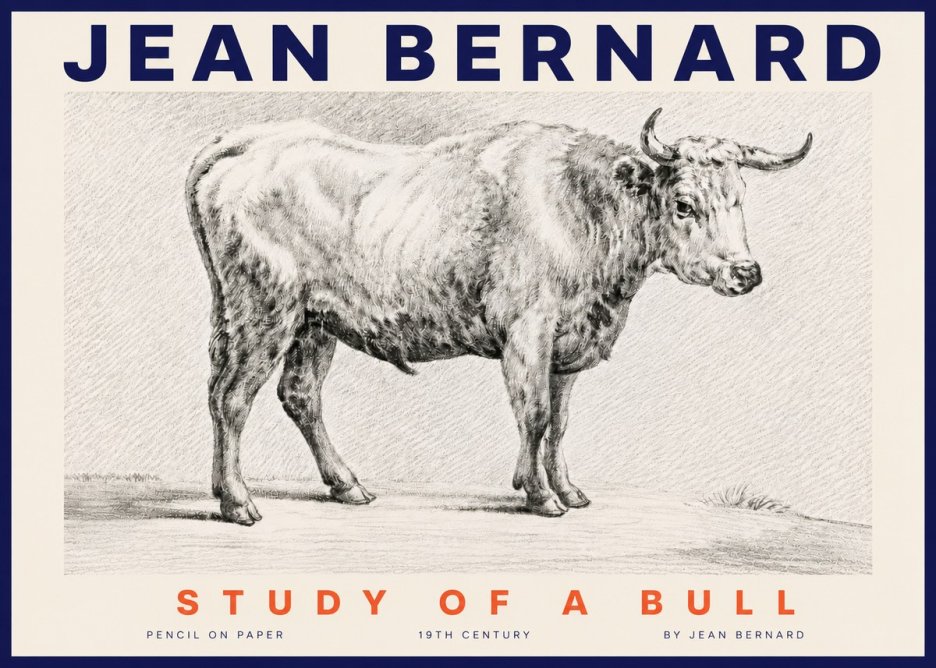 Jean Bernard Study of a Bull IV No4 - Affiche