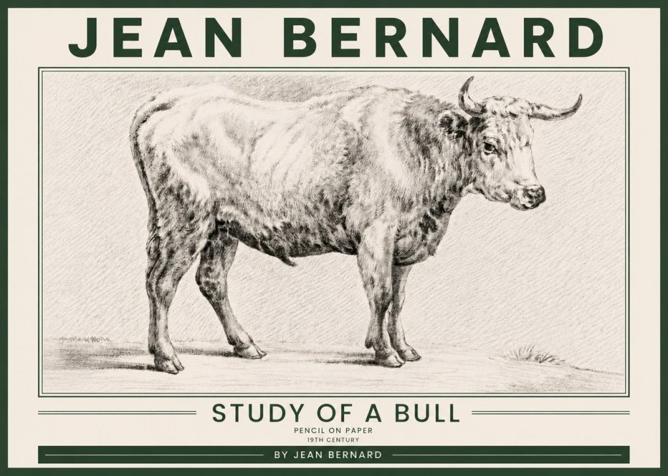 Jean Bernard Study of a Bull IV No5 - Affiche
