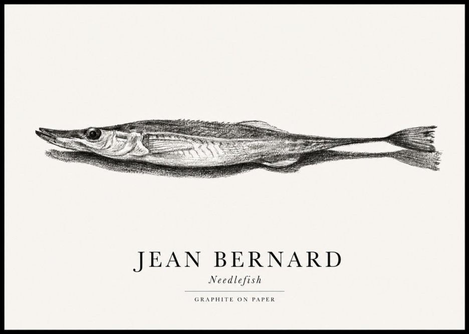 Jean Bernard Needlefish No1 - Affiche