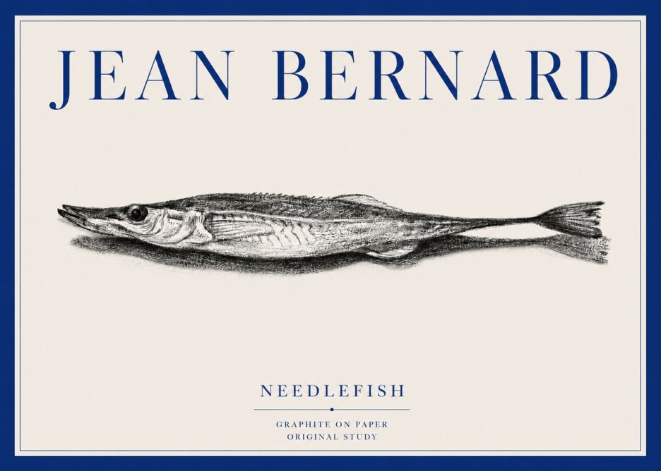 Jean Bernard Needlefish No3 - Affiche