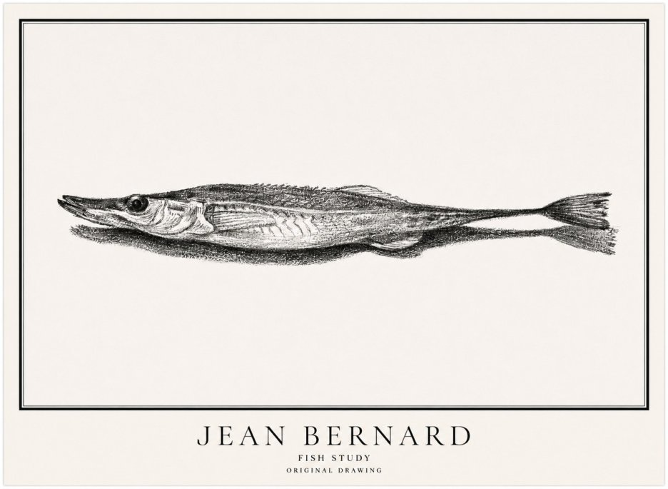 Jean Bernard Needlefish No5 - Affiche
