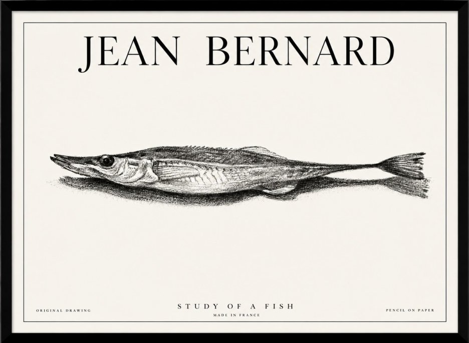 Jean Bernard Needlefish No6 - Affiche