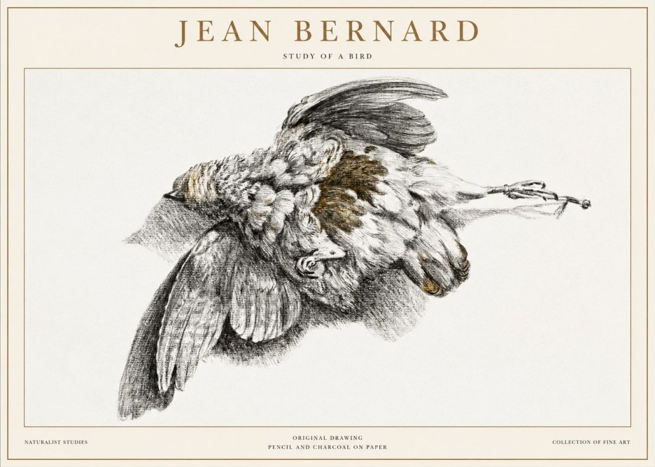 Jean Bernard Study of a Bird III No1 - Affiche