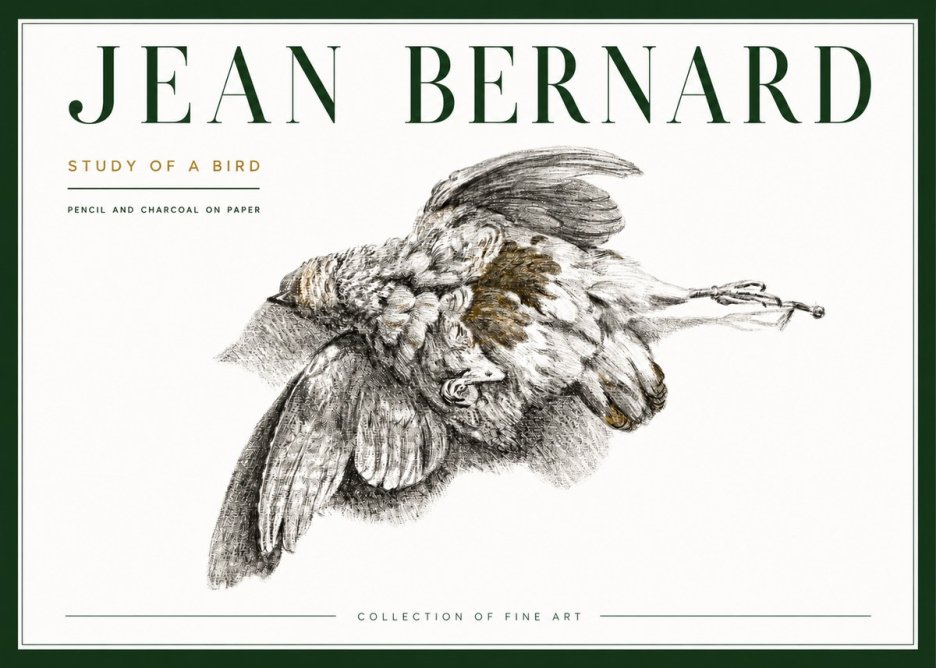 Jean Bernard Study of a Bird III No4 - Affiche
