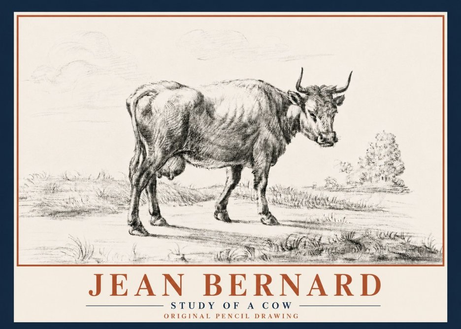 Jean Bernard Study of a Cow XII No5 - Affiche