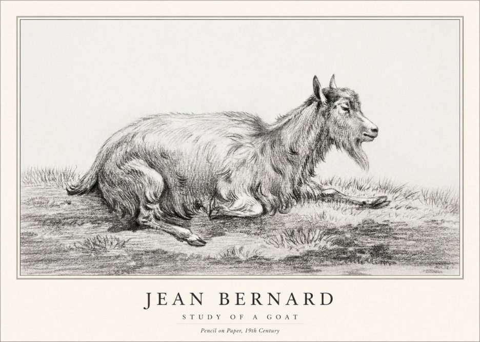 Jean Bernard Study of a Goat V No1 - Affiche