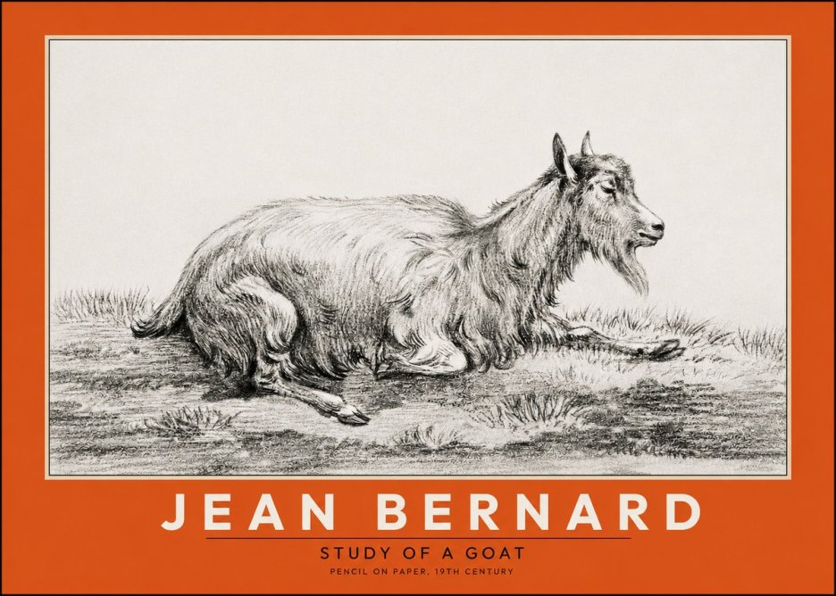 Jean Bernard Study of a Goat V No2 - Affiche