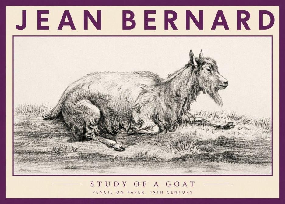 Jean Bernard Study of a Goat V No3 - Affiche