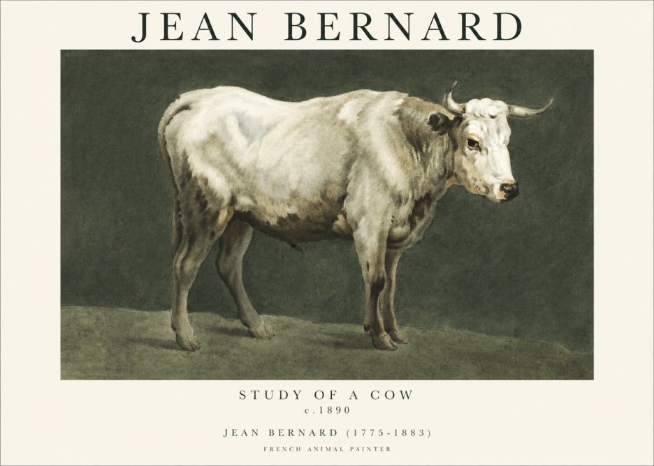 Jean Bernard Study of a Cow C. 1890 No1 - Affiche