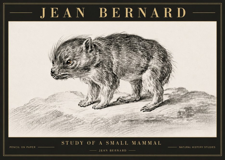 Jean Bernard Study of a Small Mammal No6 - Affiche