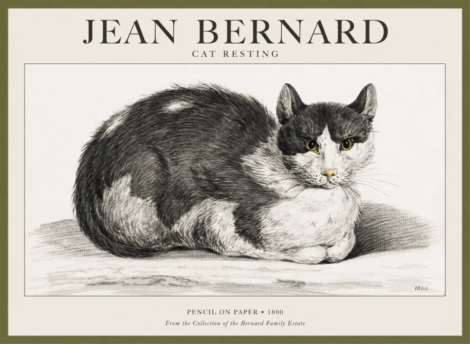 Jean Bernard Cat Resting No1 - Affiche