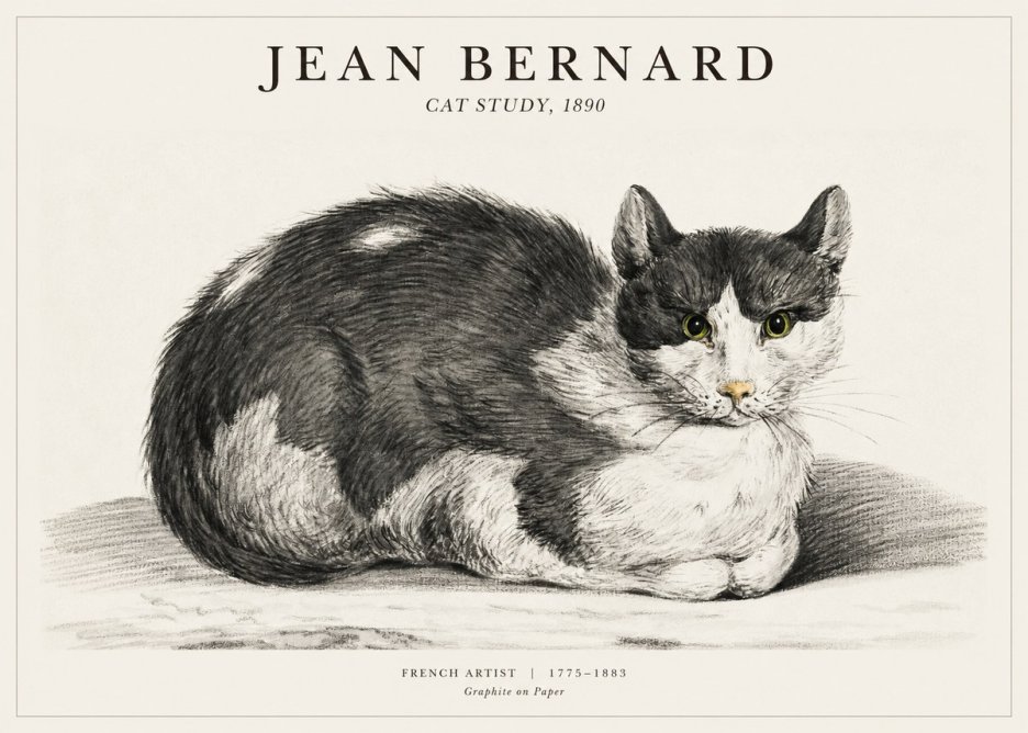 Jean Bernard Cat Resting No3 - Affiche