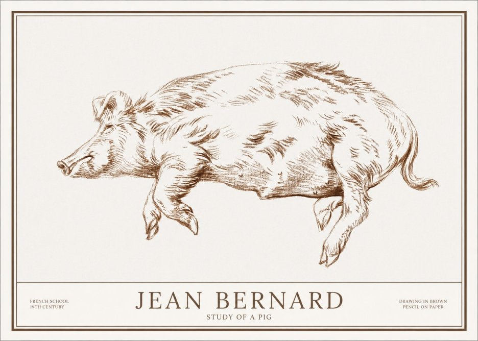 Jean Bernard Study of a Pig II No1 - Affiche