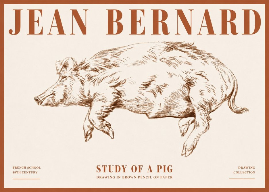 Jean Bernard Study of a Pig II No4 - Affiche