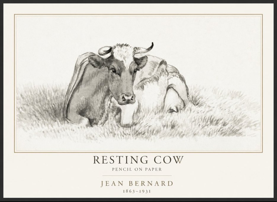 Jean Bernard Resting Cow IV No1 - Affiche