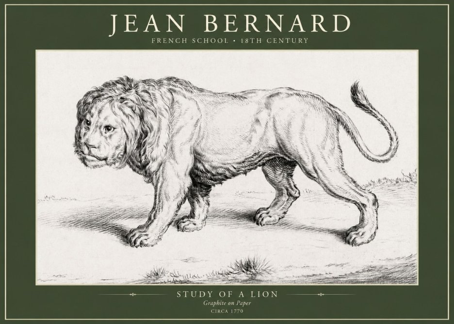 Jean Bernard Study of a Lion II No5 - Affiche