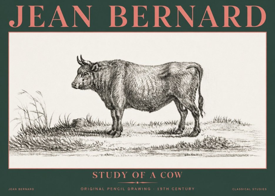 Jean Bernard Study of a Cow XIII No5 - Affiche