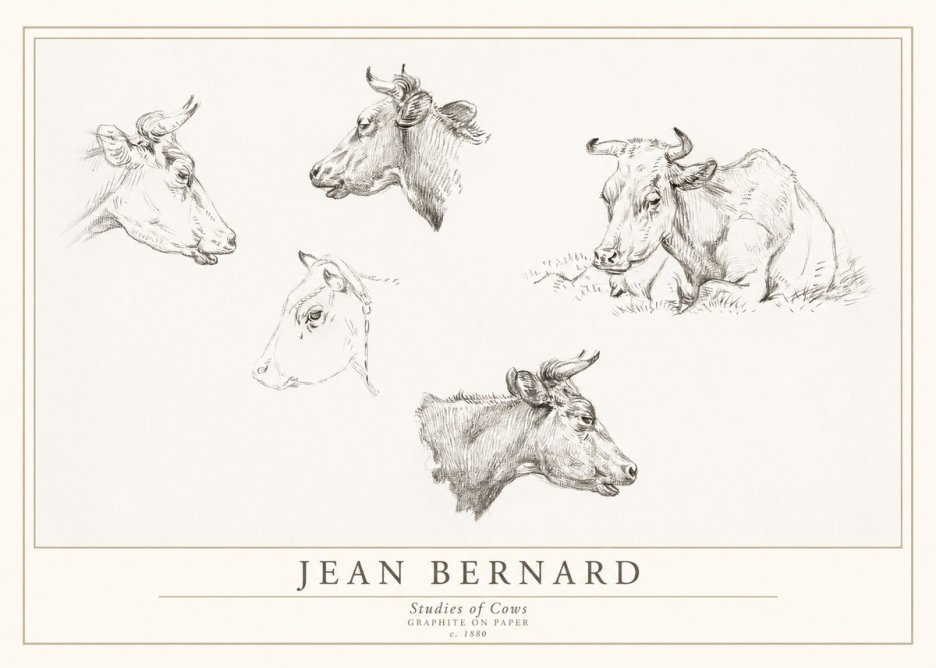 Jean Bernard Studies of Cows I No1 - Affiche