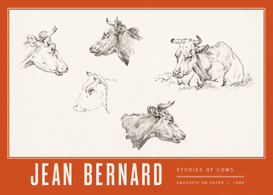 Jean Bernard Studies of Cows I No3 - Affiche