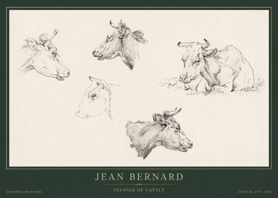 Jean Bernard Studies of Cows I No5 - Affiche