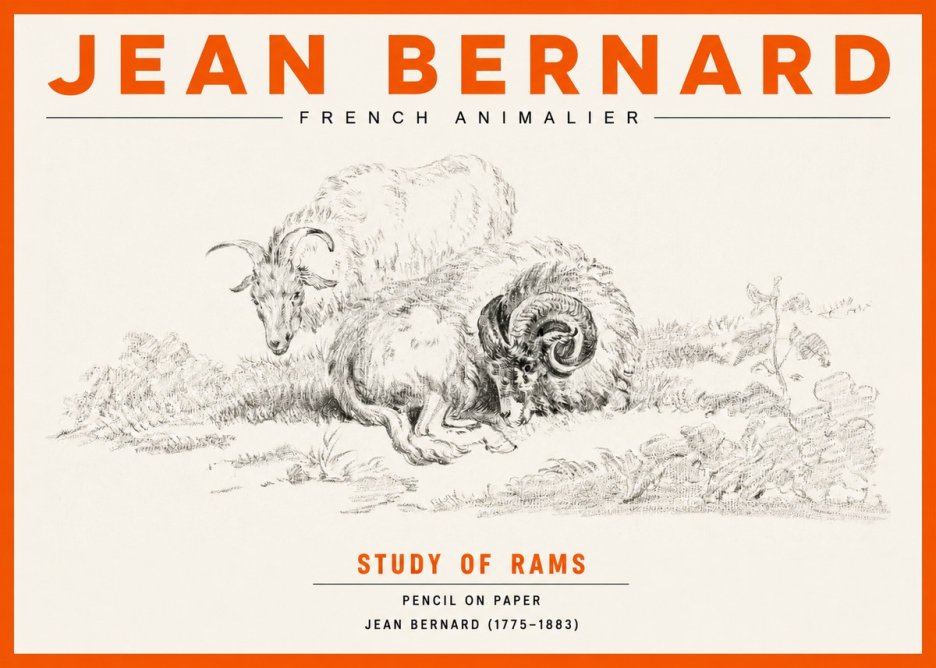 Jean Bernard Study of Sheep No3 - Affiche