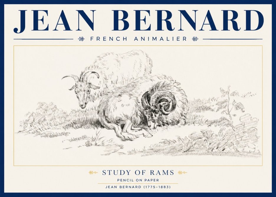 Jean Bernard Study of Sheep No4 - Affiche
