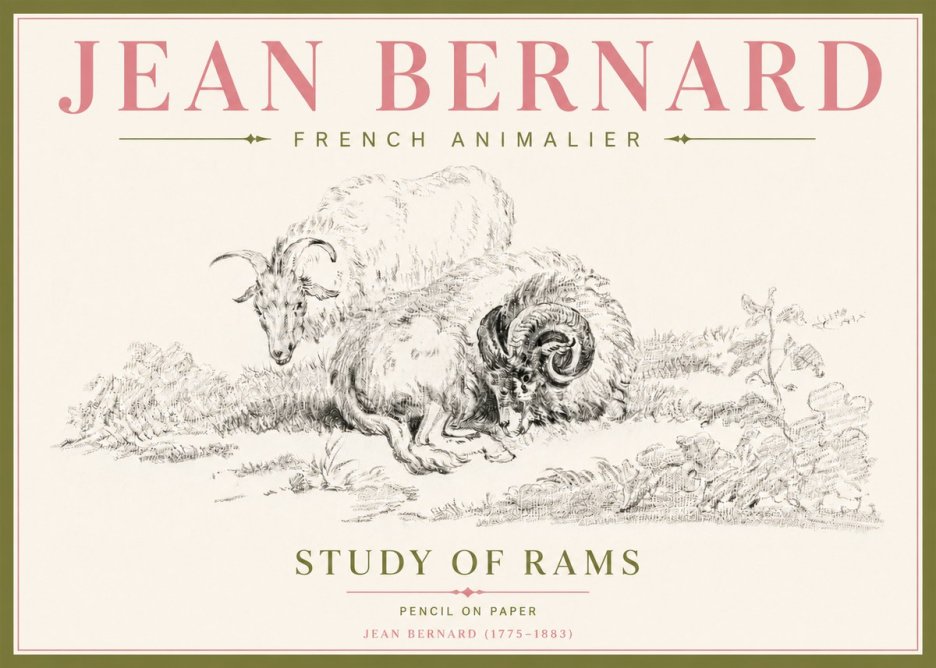 Jean Bernard Study of Sheep No5 - Affiche