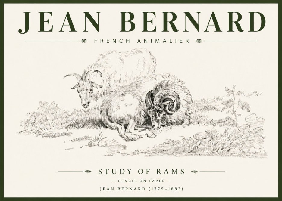 Jean Bernard Study of Sheep No6 - Affiche