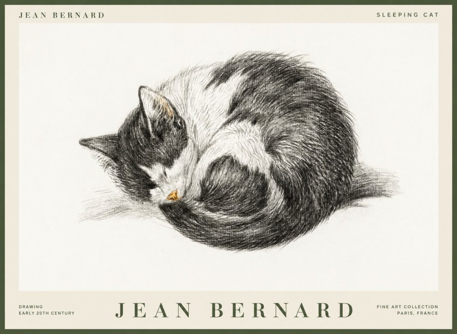Jean Bernard Sleeping Cat VIII No1 - Affiche