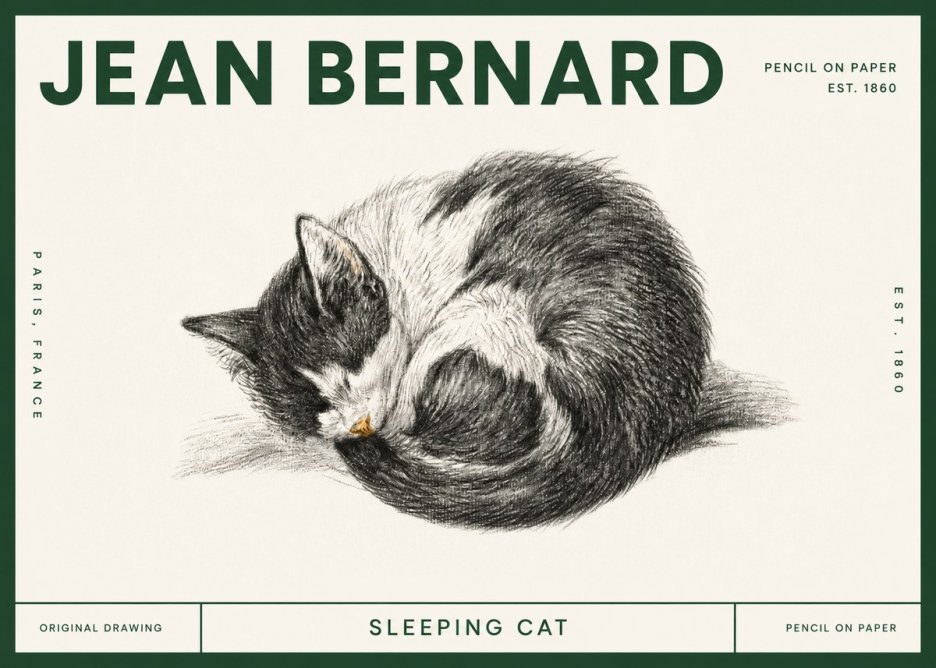 Jean Bernard Sleeping Cat VIII No4 - Affiche