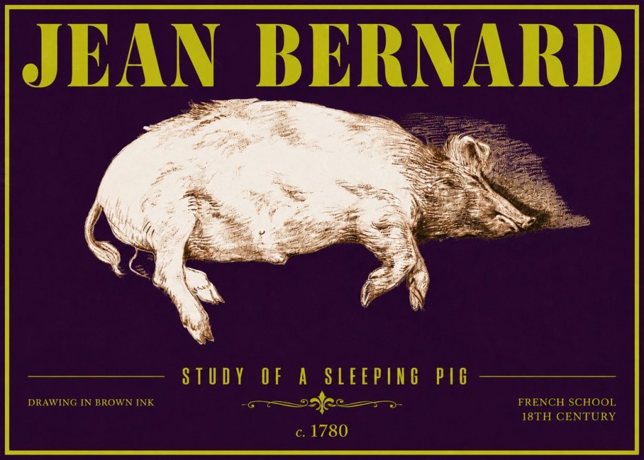 Jean Bernard Study of a Sleeping Pig No6 - Affiche