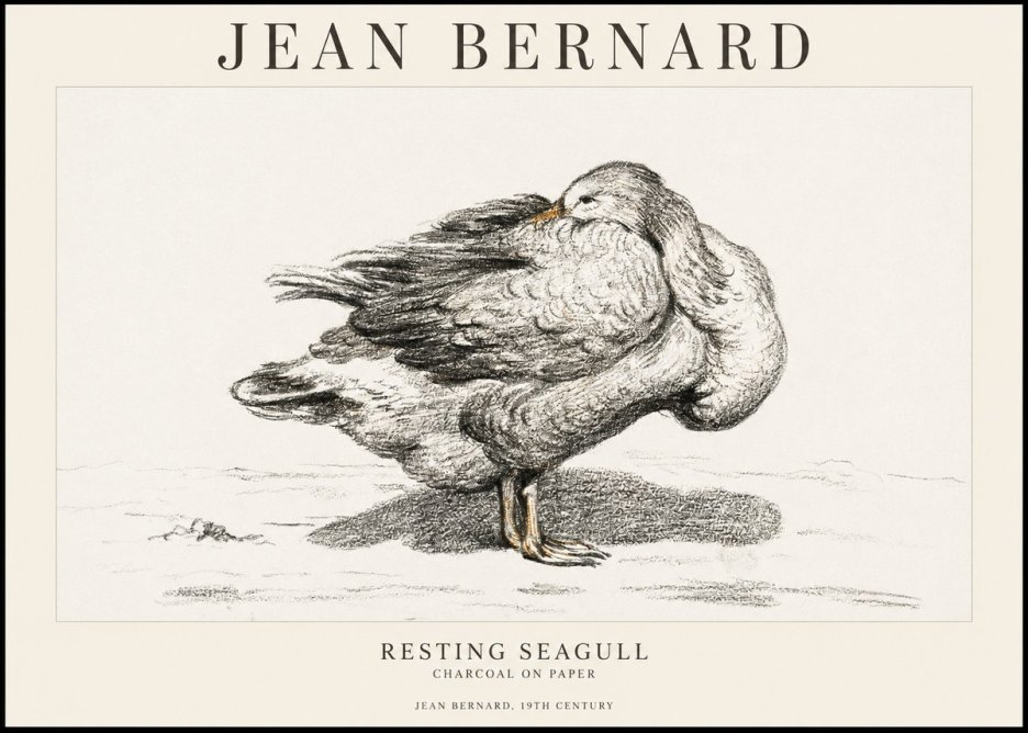Jean Bernard Resting Seagull No1 - Affiche