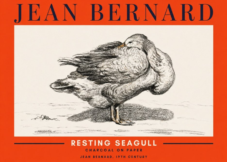 Jean Bernard Resting Seagull No2 - Affiche