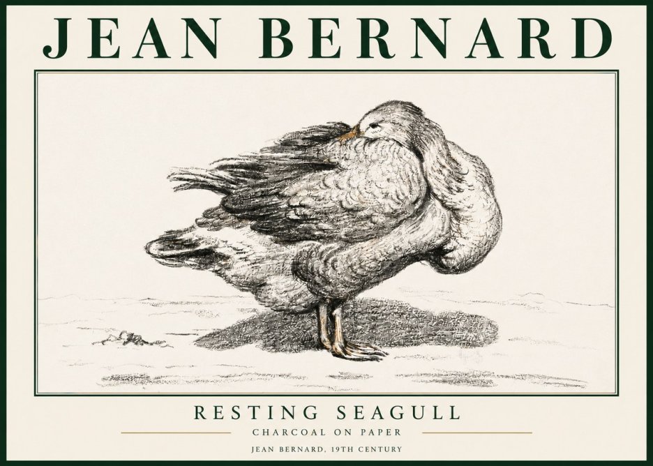 Jean Bernard Resting Seagull No3 - Affiche