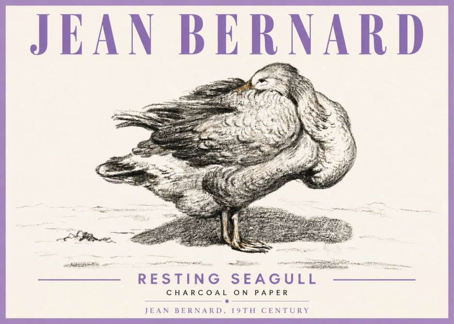 Jean Bernard Resting Seagull No6 - Affiche